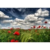 Ariadna Reyes's photo