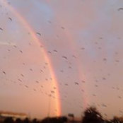 Carol Cerasoli's photo