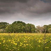Caroline's photo