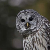 Mark Davies's photo
