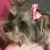 Sonja Gramm's photo