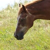 Ginny Gansen's photo