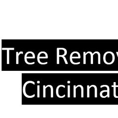 Cincinnati Tree Removal