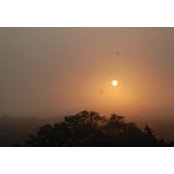Marilyn Heckmann's photo