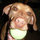 webuser_96900