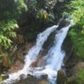 Diana Everett's photo