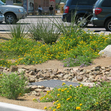 Water Conservation
