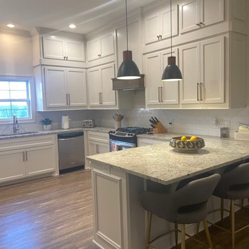 Kitchen & Primary Bathroom Renovation @ Annandale