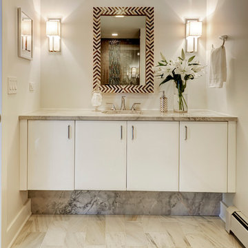 Contemporary Bathroom with Class - Wheaton, IL