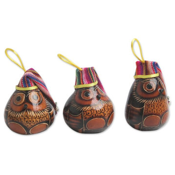 3-Piece Novica Holiday Owls Dried Mate Gourd Ornaments