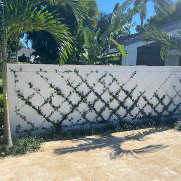 After - Espalier, Trained Vines on Wall