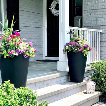 Summer Containers