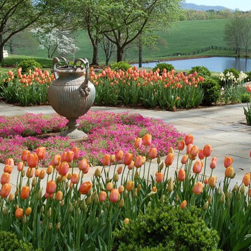 Spring