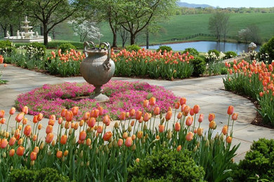 Photo of a traditional landscaping in Other.
