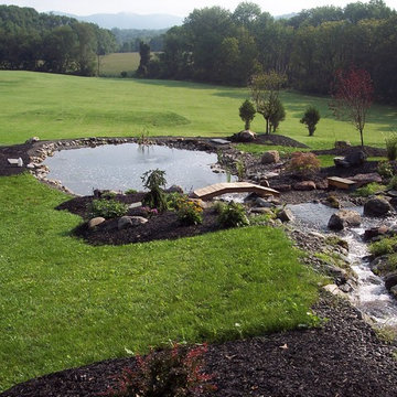 Ponds and water features