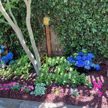 Los Altos | New Small Space Transformed