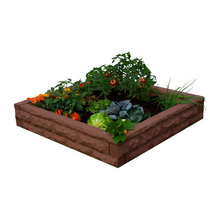 Garden ideas