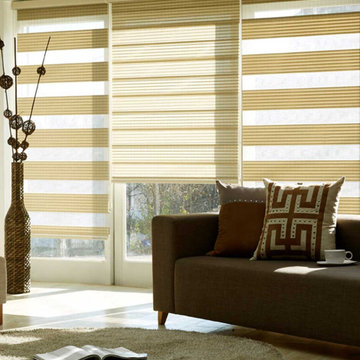Springblinds Premium Zebra Dual Sheer Shades