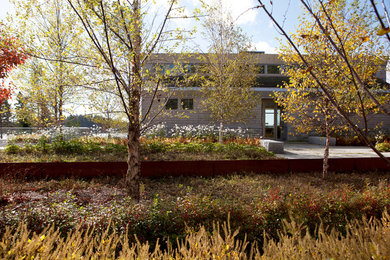 Inspiration for a landscaping in Boston.