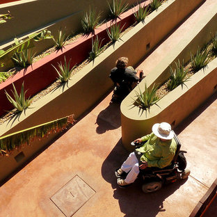 メキシコシティのトロピカルスタイルのおしゃれな庭の写真