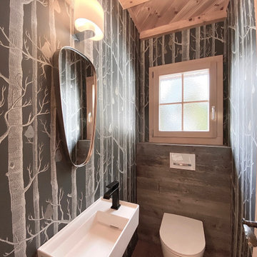 Alpine Chalet Design & Renovation