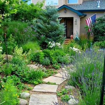 Garden Path in Bloom