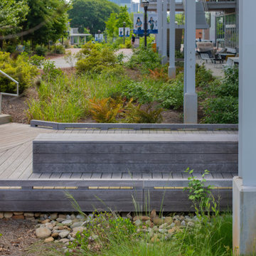 Georgia Tech Kebony Deck and Bridge