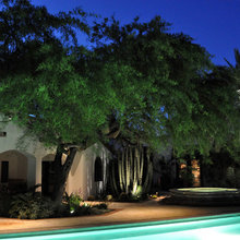trees i like
