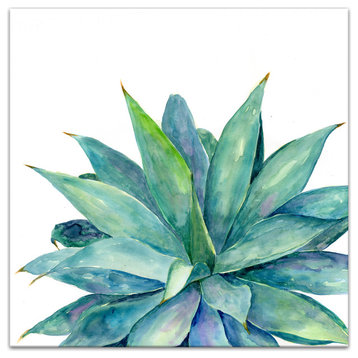 Watercolor Aloe Plant Print on Canvas