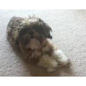Megan Burcham's photo