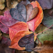 Rebecca B's photo