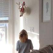 Jillian Schafer Cartwright's photo