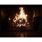 Craig Porterfield's photo