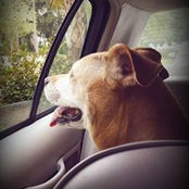 Alana Willis's photo