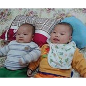 Ngựa Hoangs billede