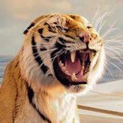 Dan Lang's photo