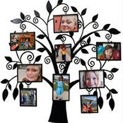 Pam Lambert's photo