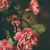 Brianne Albright's photo