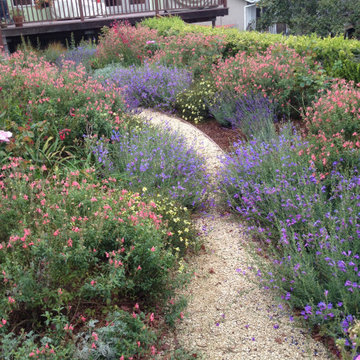 Landscape Design & Build