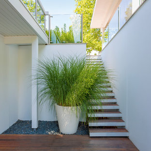 Design ideas for a large contemporary walk-out basement in Stuttgart with white walls, painted wood flooring and brown floors.