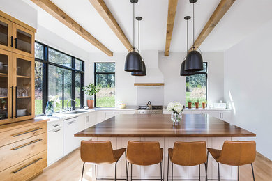 Kitchen - modern kitchen idea in Denver
