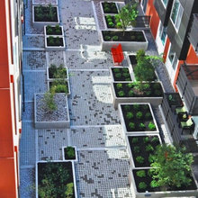 Courtyard Competition