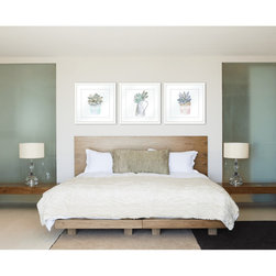 On the Windowsill Collection - Framed Art Prints - Artwork