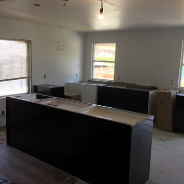Complete gut kitchen renovation