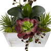 Nearly Natural Seasonal Orchid and Succulent Garden, White Wash Planter, Red
