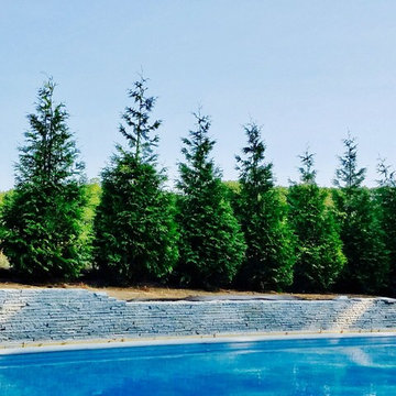 cantwell landscape & design