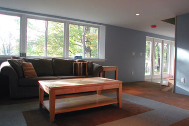 Basement - contemporary basement idea in Columbus