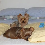 Denise Lafferty's photo