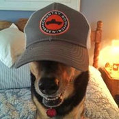 Willow Longtooth's photo