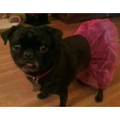Jenny Feuerhake's photo